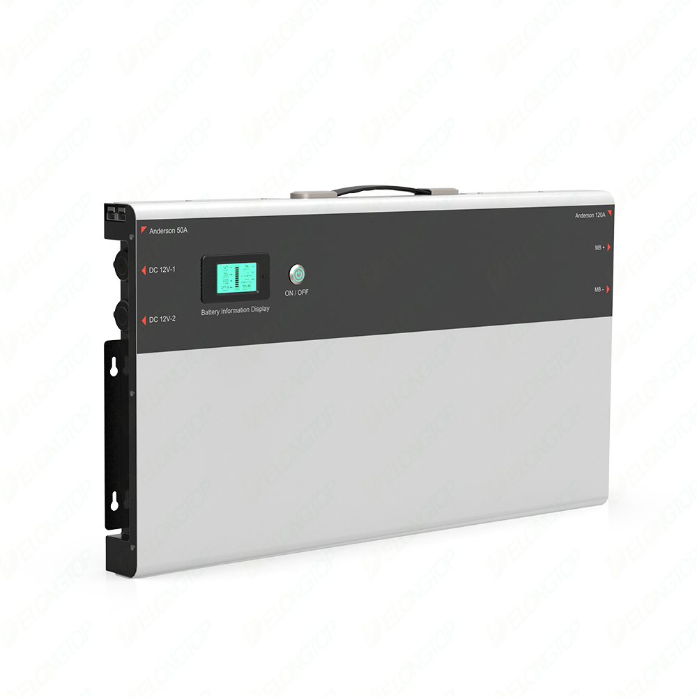 Baterai Penyimpanan Energi Sur - Lifepo4 Battery Pack ulasan dan harga
